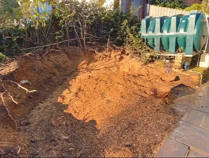 Ground where a removed stump used to be