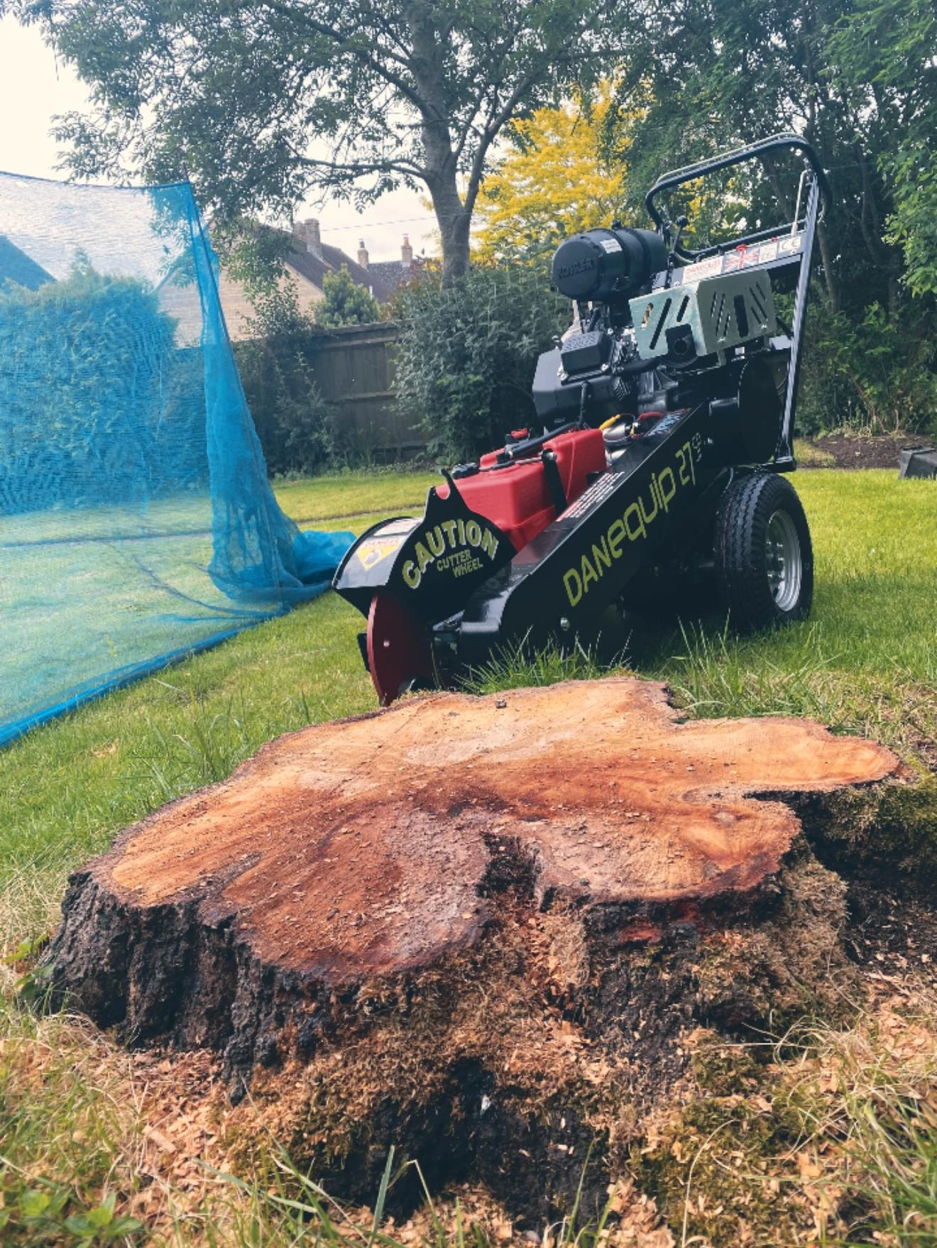 Tree stump to be removed.