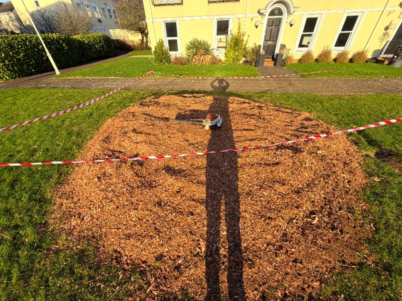 Ground where a tree stump has been removed.