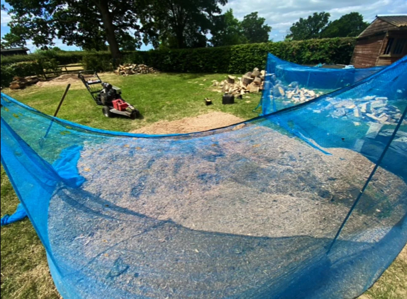 Blue netting around a tree stump ready to be removed.